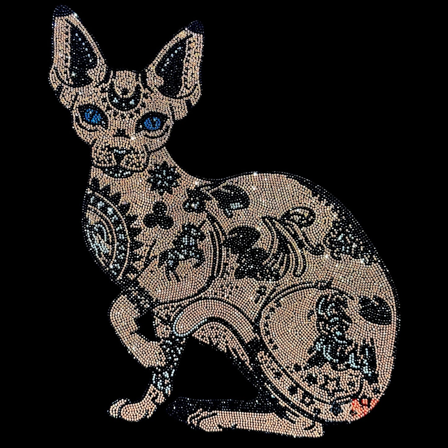 25001 Sphynx Cat