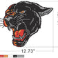21073 Black Panther
