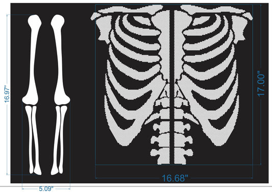 21087 Bone Rib Cage With Arms