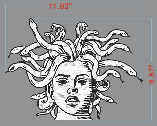 22006 Medusa Snake Hair