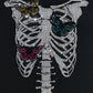 22003 Ribcage With Butterflies